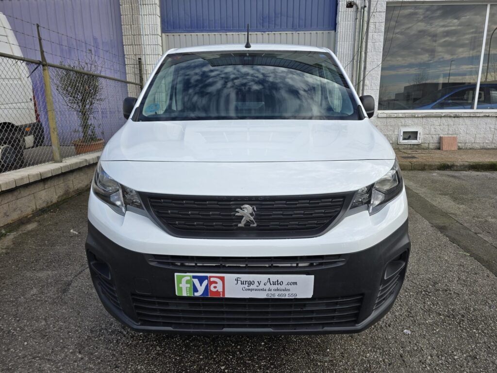 Peugeot Partner 4x4 Dangel (2)