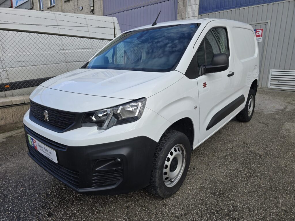 Peugeot Partner 4x4 Dangel (3)