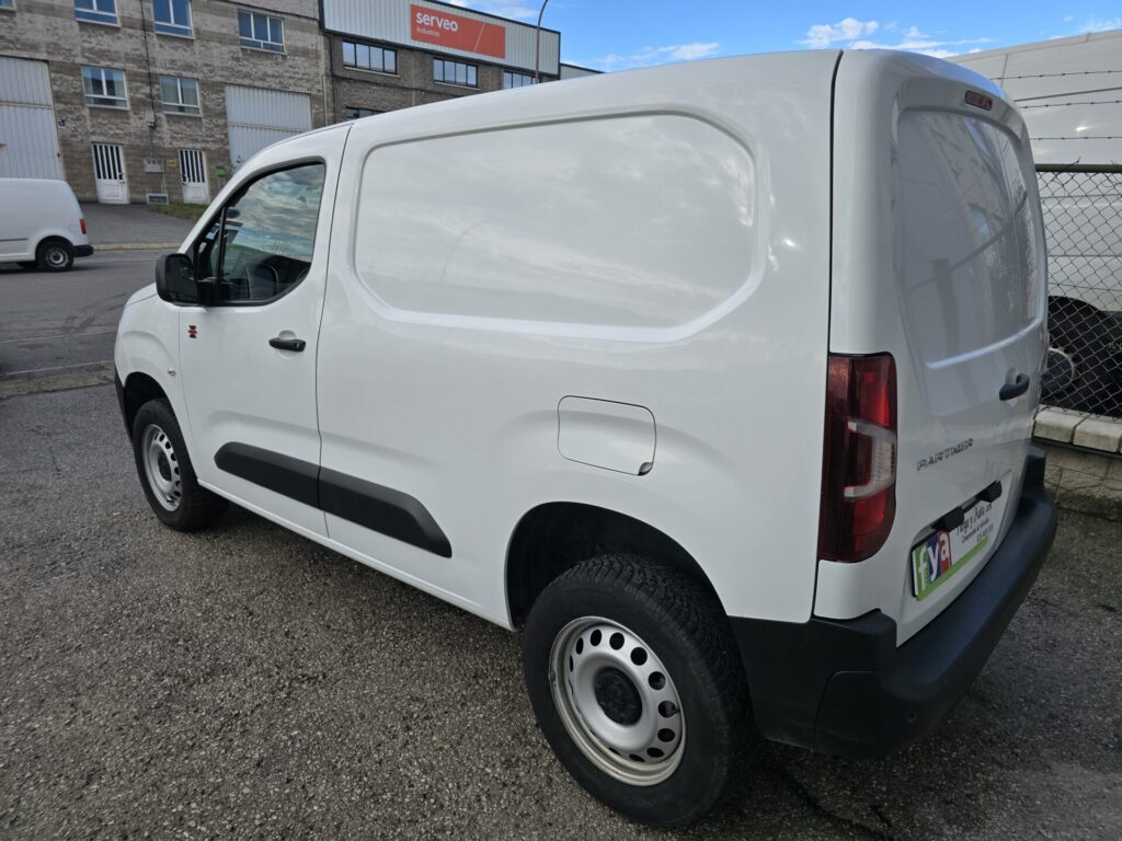 Peugeot Partner 4x4 Dangel (4)