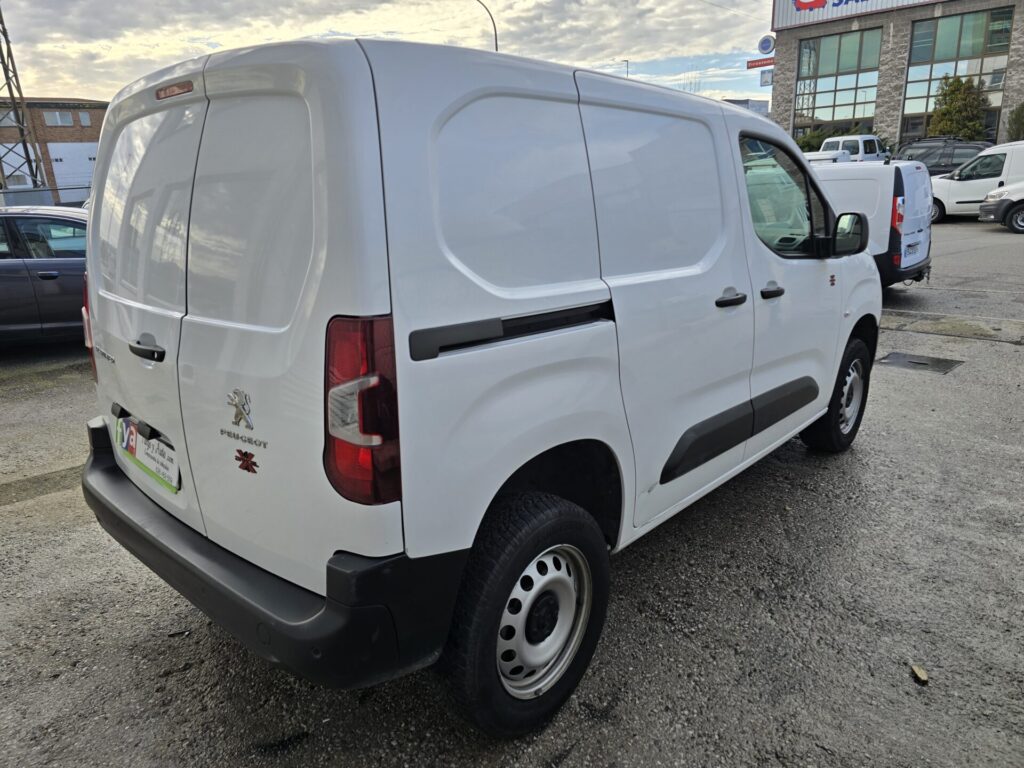 Peugeot Partner 4x4 Dangel (6)